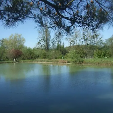 Les Du Chardon * Teuillac